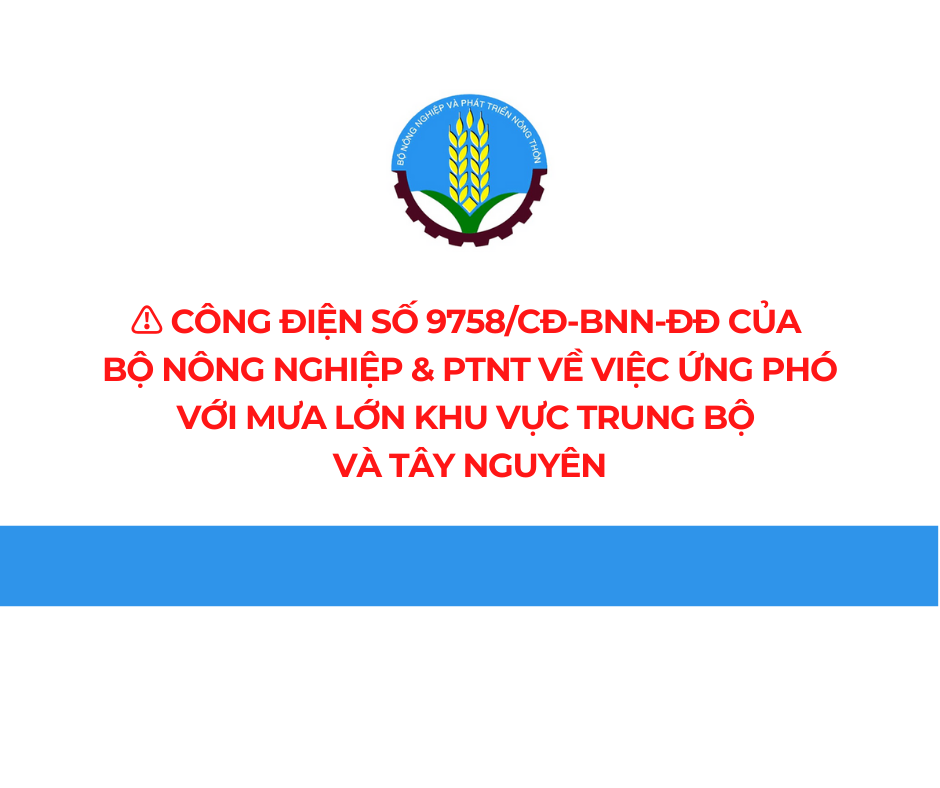 Chủ động ứng phó với mưa lớn khu vực Trung Bộ và Tây Nguyên