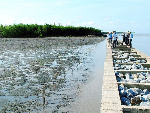 Mổ xẻ vấn đề đầu tư công trình thủy lợi giai đoạn trung hạn ở Đồng bằng sông Cửu Long
