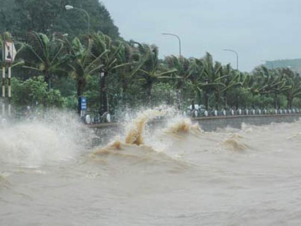 Chuyển đổi số trong phòng, chống thiên tai