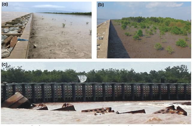 Công trình giảm sóng, gây bồi hỗ trợ trồng rừng ở vùng ven biển ĐBSCL: Nguyên lý chung và lựa chọn dạng kết cấu