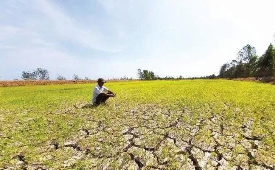 Xâm nhập mặn miền Tây tăng cao đến hết tháng 3