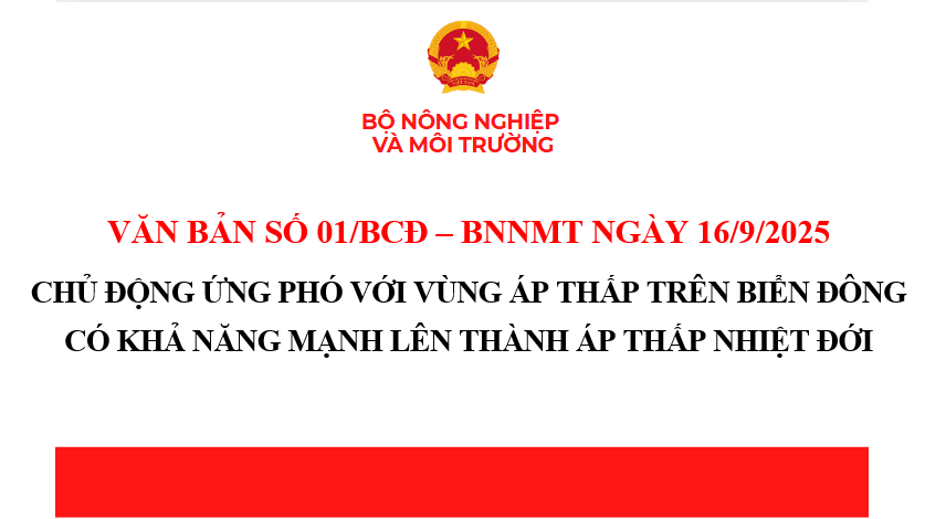 Chủ động ứng phó với vùng áp thấp trên Biển Đông có khả năng mạnh lên thành áp thấp nhiệt đới