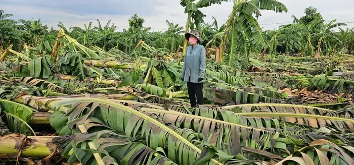 Mưa to, lốc xoáy gây thiệt hại ở Đồng Nai