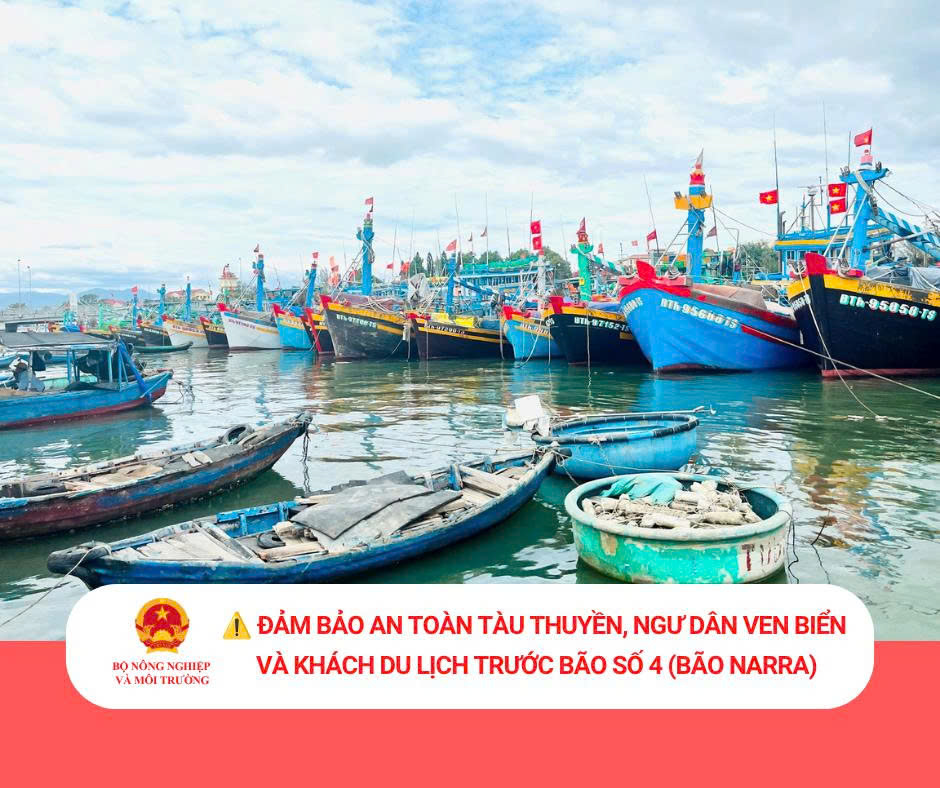 Đảm bảo an toàn tàu thuyền, ngư dân ven biển và khách du lịch trước bão số 4 (bão NARRA)