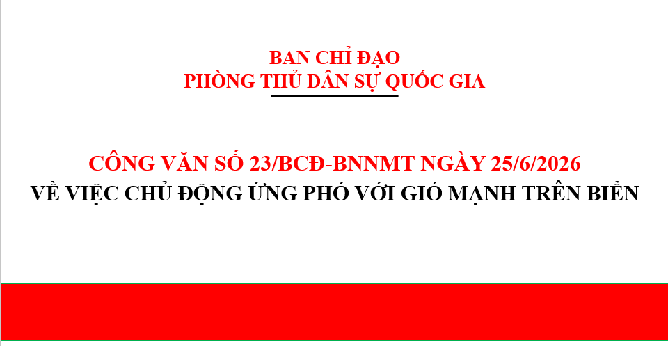 Các tỉnh, thành phố ven biển cần chủ động ứng phó với gió mạnh trên biển