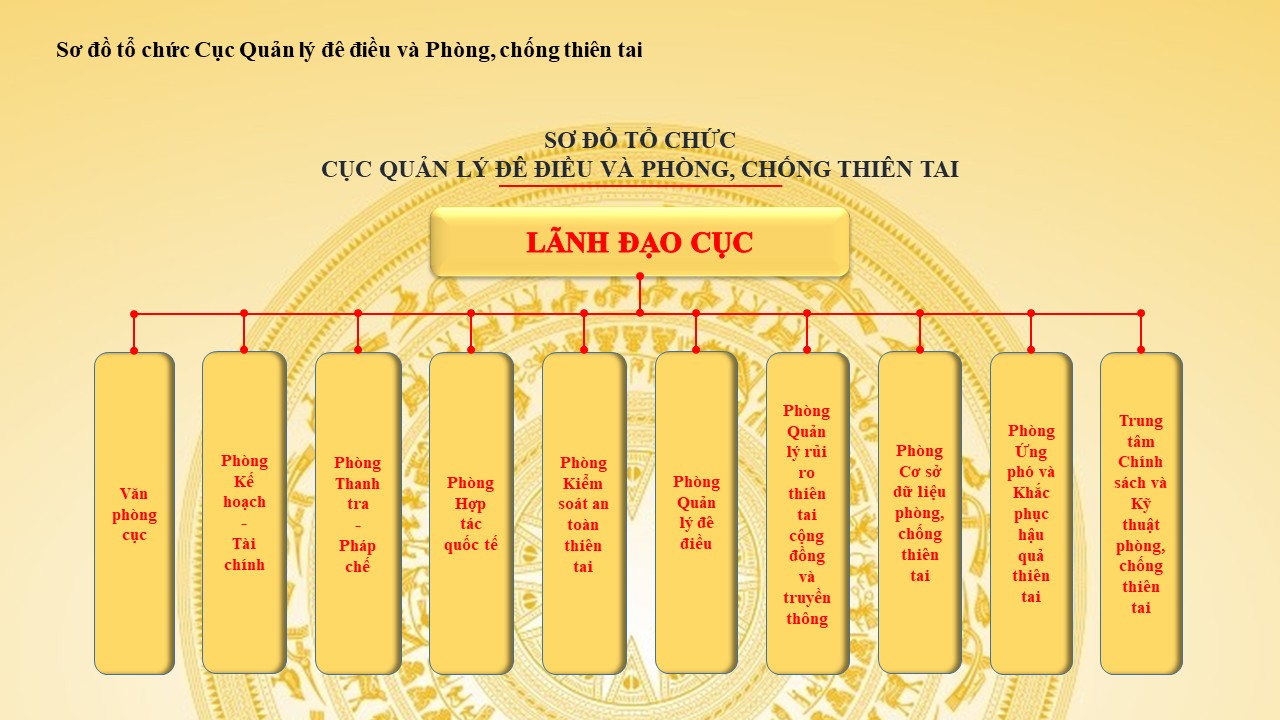 Sơ đồ Cục 1.jpg