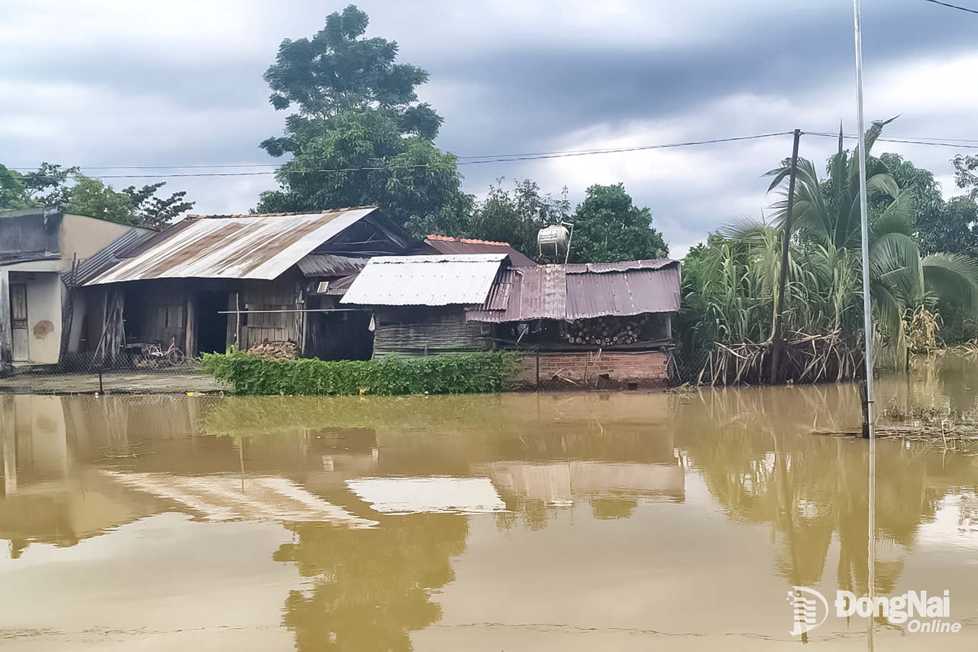 Xã Thanh Sơn thành phố Đồng Nai chủ động ứng phó ngập úng, bảo đảm sản xuất nông nghiệp