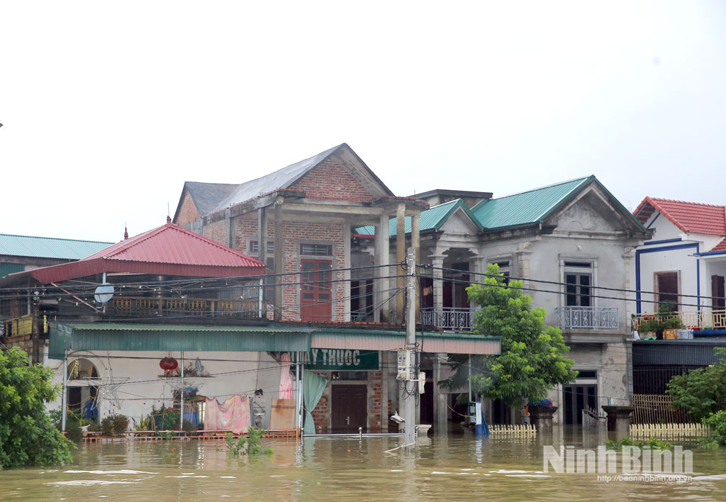 Ninh Bình chỉ đạo tập trung triển khai ứng phó với lũ trên sông Hoàng Long và sông Đáy